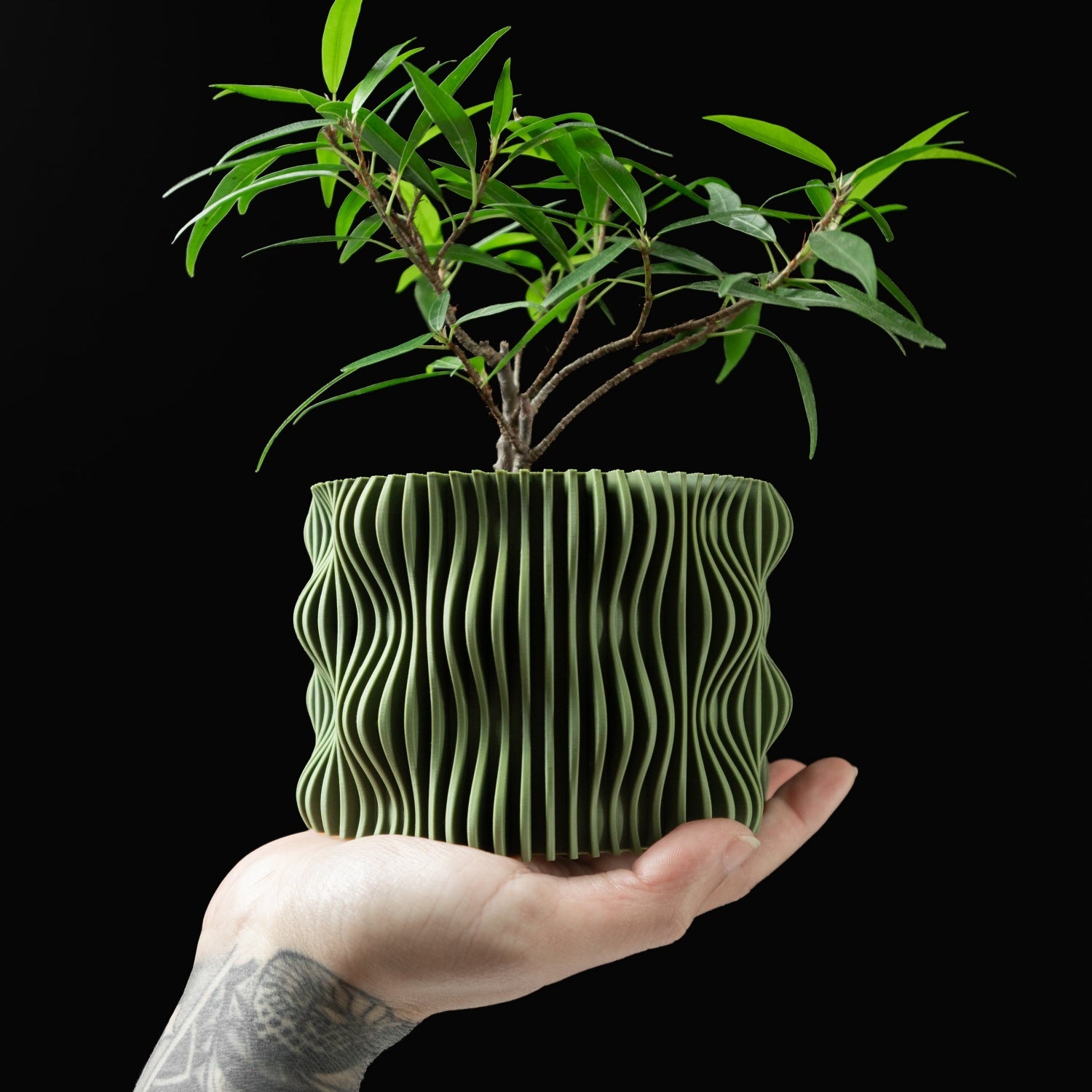 モダンミニマリスト3Dプリント植木鉢（Muxel） 