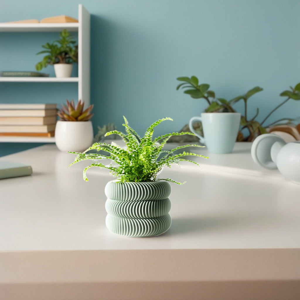 モダンミニマリスト3Dプリント植木鉢（Maro） 