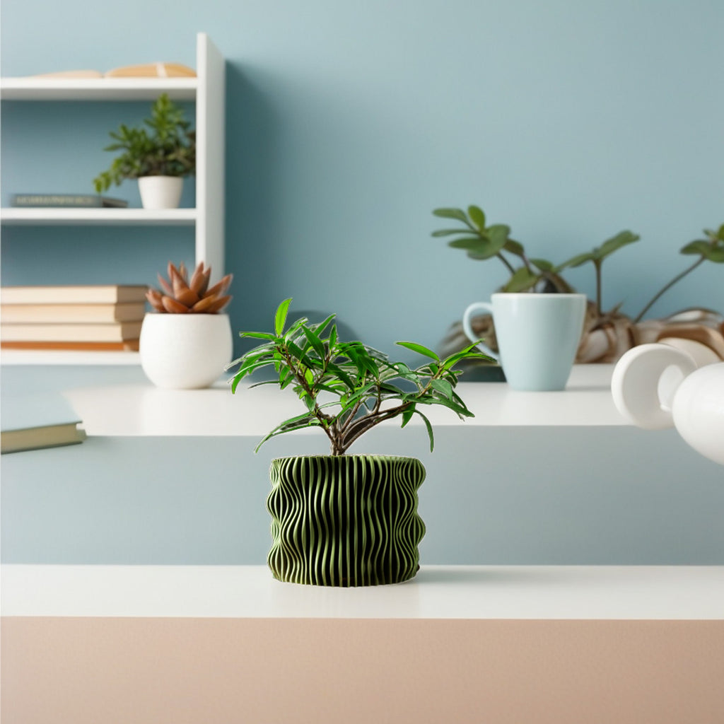 モダンミニマリスト3Dプリント植木鉢（Muxel） 